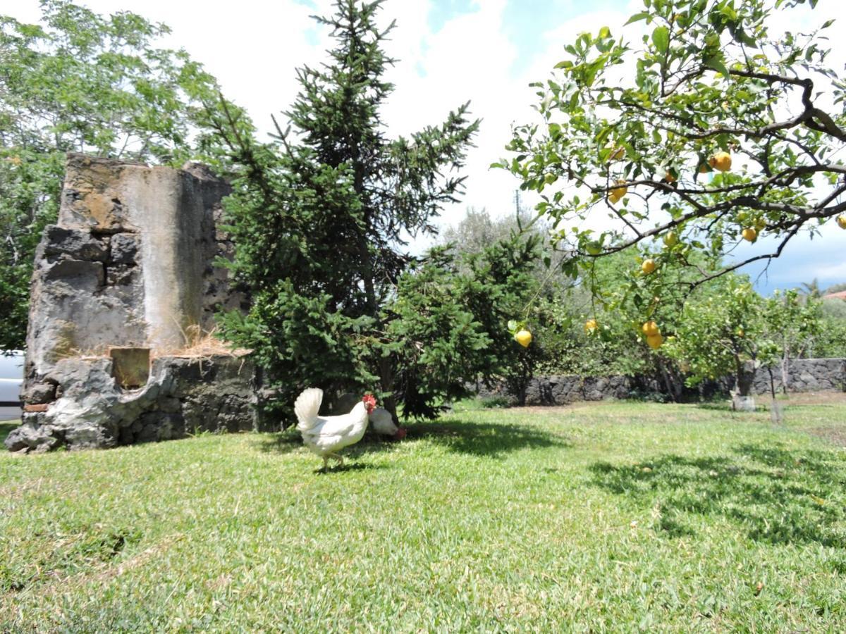 Villa Sciare Modo Acireale Buitenkant foto